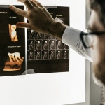 Технический анализ слот-игры The Dog House: схема алгоритмов и механик