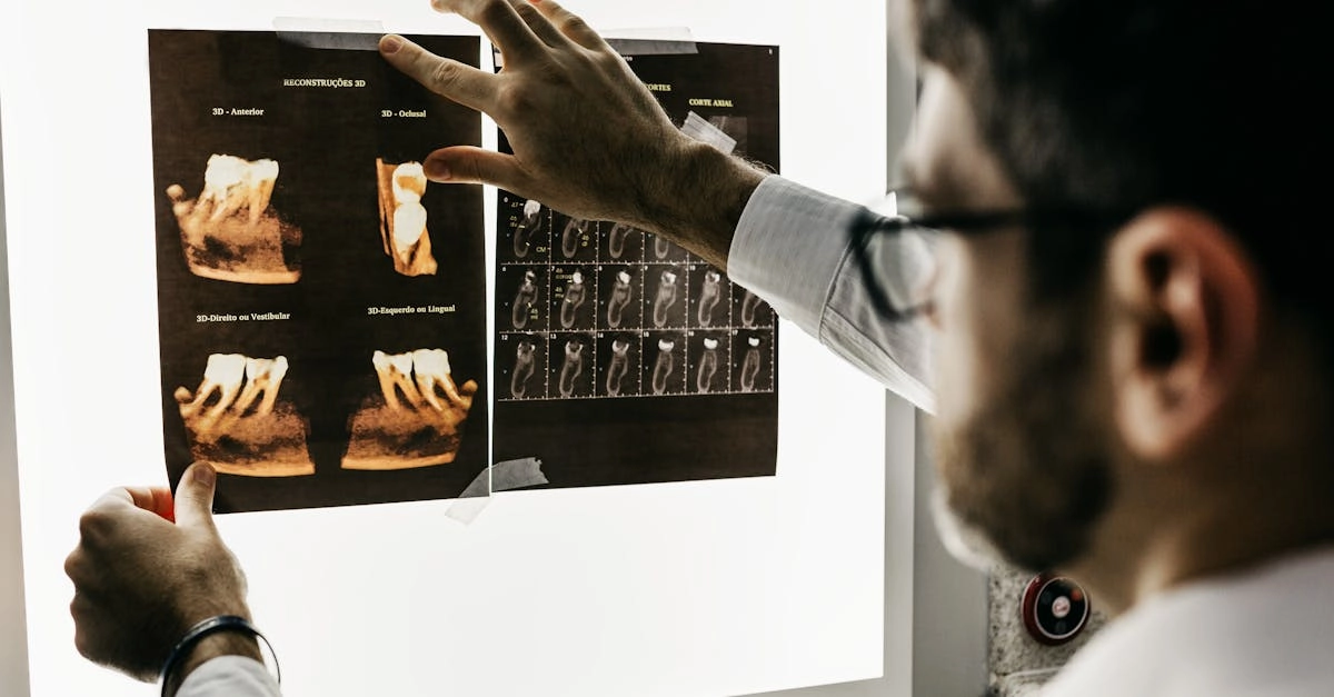 Технический анализ слот-игры The Dog House: схема алгоритмов и механик