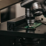 Экспертный анализ игровой механики Gates of Olympus 1000