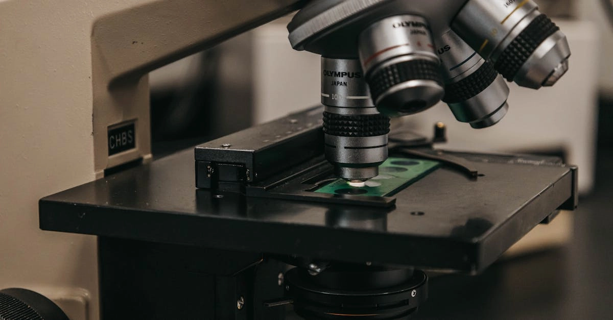 Экспертный анализ игровой механики Gates of Olympus 1000